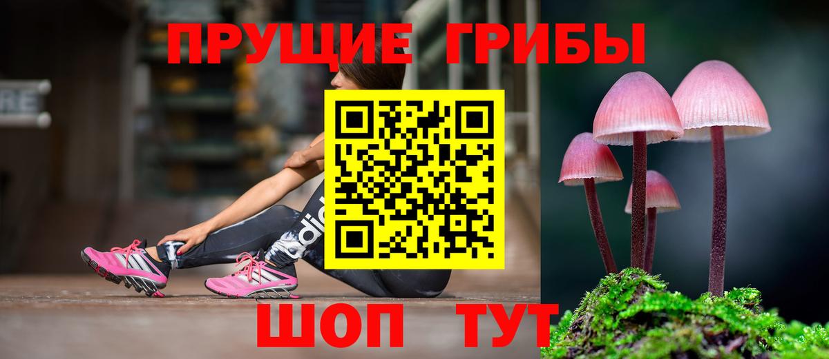 Галлюциногенные грибы прущие грибы  Вход с VPN  Тольятти  Псилоцибиновые грибы ЛСД 